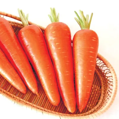 Самые сладкие сорта моркови - полезный список — УНИАН