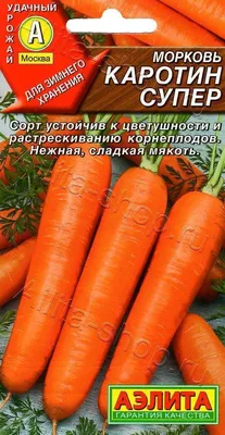 Купить семена Моркови сорта Лонге Роте в Украине: Цена, Характеристики,  Отзывы;