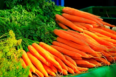Морковь Карамельная автор — купить семена моркови фирмы Гавриш (2 грамма) |  «АгроМаркет»