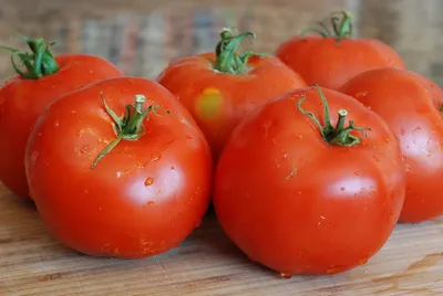 Сорта помидоров для открытого грунта: томаты для открытого грунта -  Agro-Market24