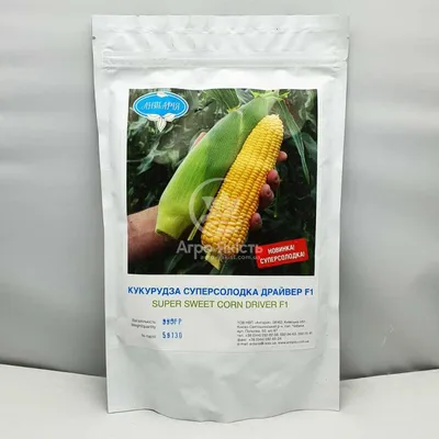 ДН Рава ФАО 500 - кукуруза, Рост Агро - купить семена в Украине, оптовые  цены | Harvest-center