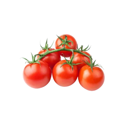 Томаты черри: 10 популярных сортов и секреты выращивания культуры |  AgroMarket интернет магазин семян