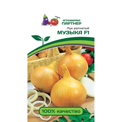 ХАЙСИНГЕР F1 / HYSINGER F1 - Лук Репчатый, Bejo купить в Украине - цена,  фото, отзывы | Agrolife