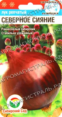 Лук белый кг - купить по лучшей цене в Алматы | интернет-магазин Технодом