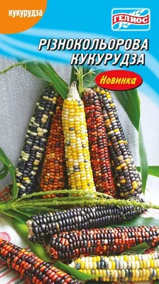 Разноцветная кукуруза