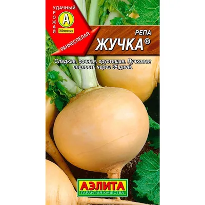 Репа с бесплатной доставкой на дом из «ВкусВилл» | Нижний Новгород