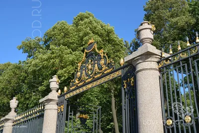 Решетка Летнего сада. Летний сад. Фото Санкт-Петербурга