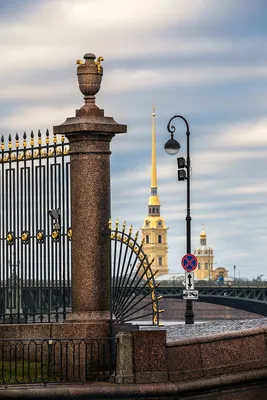 Невская ограда Летнего сада в Петербурге