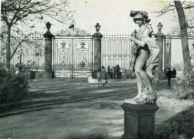 File:Решётка летнего сада.jpg - Wikimedia Commons
