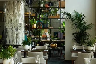 Рибамбель Ботанический сад - Picture of Ribambelle Green, Moscow -  Tripadvisor