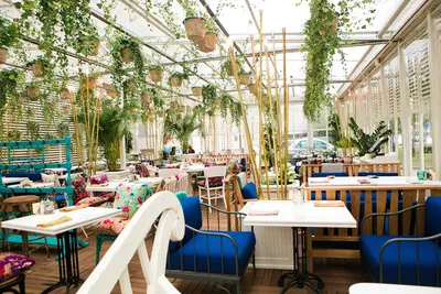Рибамбель Ботанический сад - Picture of Ribambelle Green, Moscow -  Tripadvisor