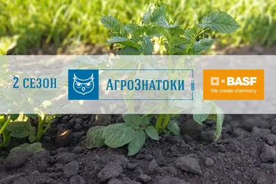 Тентэкс - оборудование для овощехранилищ | Volzhskiy