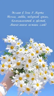 Праздник цветов и равноправия: традиции 8 Марта в мире