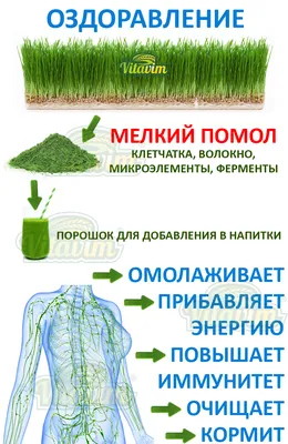 ВИТГРАСС - живой сок из ростков Пшеницы | 805 ₴ грн за 14 порций (по 30 мл)  | Growa