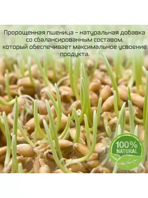 Wheat grass (ростки пшеницы в таблетках) - для повышения и укрепления  иммунитета из Индии купить в Москве - цены в интернет-магазине Аюрведа Фреш
