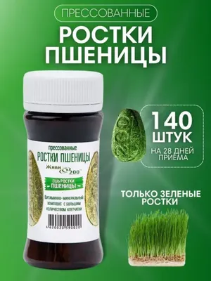 Как это сделано: сок из ростков пшеницы «Витграсс» / Новости общества  Красноярска и Красноярского края / Newslab.Ru