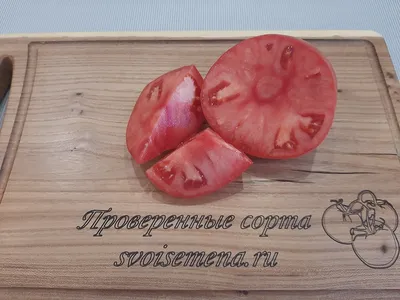 Гном розовый тяжеловес - Урожайный низкорослый крупноплодный сорт