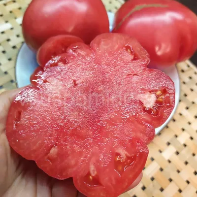Купить семена томата сорт Бабушкин мед