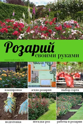 Устройство Розария