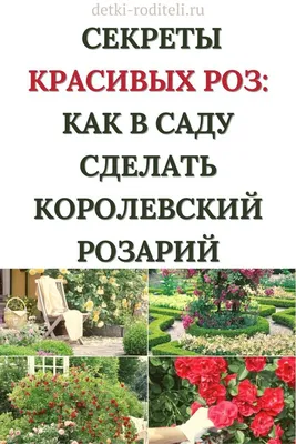 Розарий;на фоне красивая белая …» — создано в Шедевруме