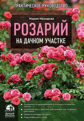 После такой подкормки комнатные растения растут как на дрожжах в 2023 г |  Сад, Розы, Красивые розы