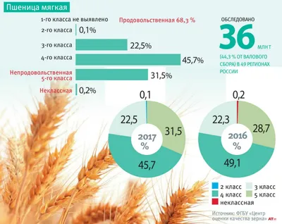 Древние виды пшеницы