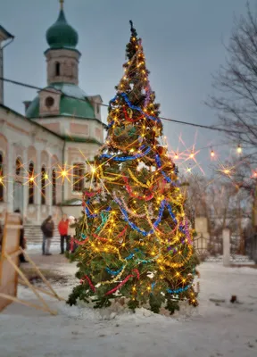 Рождественская елка фото фотографии