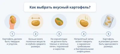 Томат Чайная Роза - купить семена овощей с доставкой по Украине в магазине  Добродар