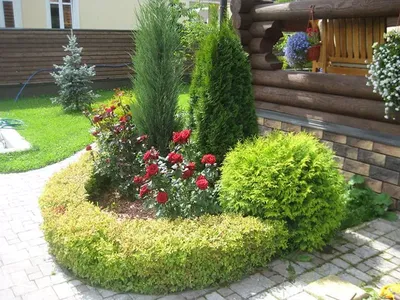 🌹Плетистая роза в ландшафтном дизайне сада🌳 Любые розы по время цветения  красивы и эффектны, но плетистые — втройне😍 Очарование цветущего полога… |  Sidewalk, Flo