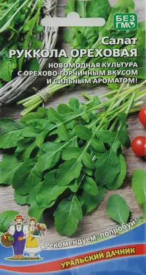 Руккола: сложности выращивания | Вета-Парк | Дзен