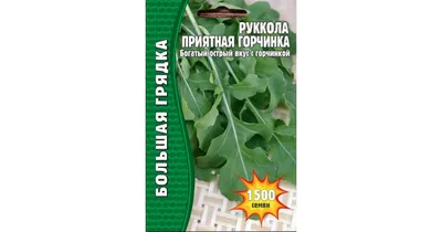 Руккола рокет-салат : Hem Zaden - семена купить в Киеве, Украине фото,  отзывы, описание - Дачник