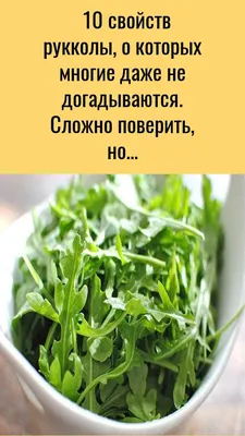 Краткий перечень салатной грядки- 3 вида салата, горчица, мизуна зелёная,  мизуна красная, руккола, капуста пак-чой, щавель, укроп… | Instagram