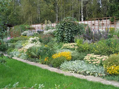 Русский сад ландшафта в парке Стоковое Фото - изображение насчитывающей  журнал, отражение: 82364412