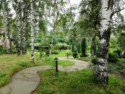 Русский сад» — создано в Шедевруме