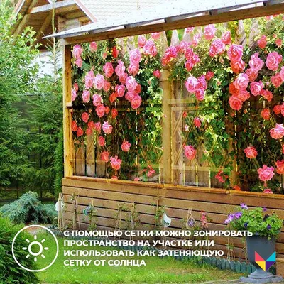 Аптекарский огород и вишневый сад: истории русских садов | myDecor