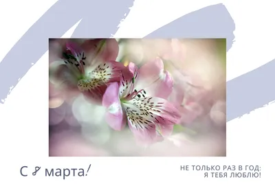 Прикольные картинки ❘ 25 фото от 24 марта 2023 | Екабу.ру - развлекательный  портал