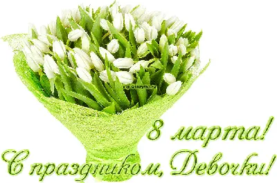 Дорогие девочки, девушки, женщины, с 8 Марта вас! - Форум Гродно