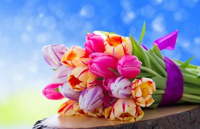 8 march 1080P, 2K, 4K, 5K HD wallpapers free download | Wallpaper Flare