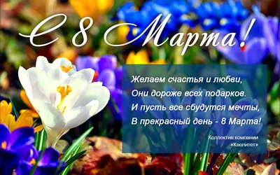 Уважаемые коллеги! Милые дамы! – РУАН – Российский университет адвокатуры и  нотариата