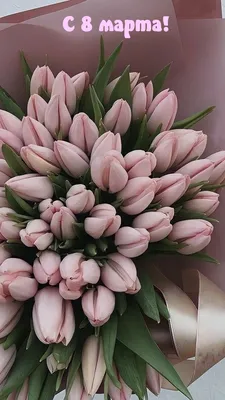 Открытка на 8 марта \"милые котики\" девушке, жене, супруге. Открытка на 14  февраля - купить с доставкой в интернет-магазине OZON (1252728026)