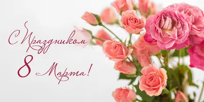 Милые дамы! Поздравляем вас с 8 марта!