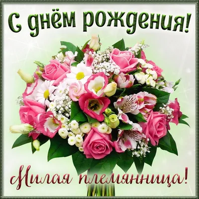 С 8 марта племяннице картинки фото