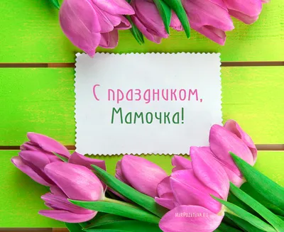 https://iz.ru/1660932/2024-03-06/s-8-marta-dushevnye-pozdravleniia