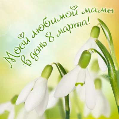 Поздравляем всех милых мам, бабушек и девочек с 8 марта!!! — Детский сад 87