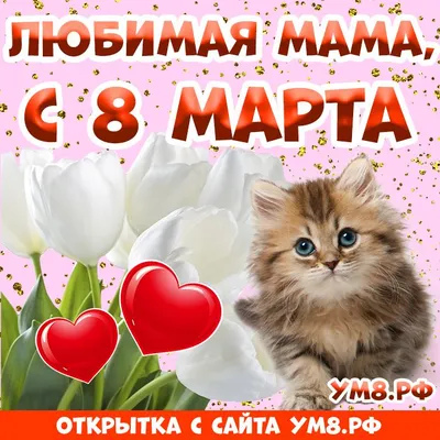 Поздравляем с 8 марта дорогих женщин и девушек Дальрыбвтуза! - Дальрыбвтуз.  Официальный сайт