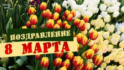 Поздравление с Международным женским днем!