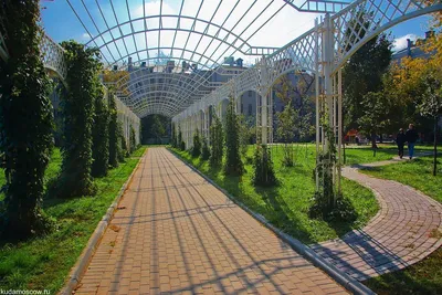 Сад баумана фото фото
