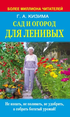 Сад для ленивых: минимум ухода, максимум эстетики