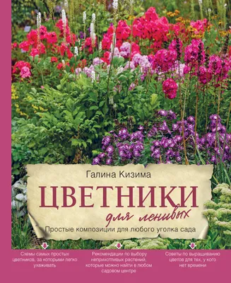 Цветники для ленивых. Простые композиции для любого уголка сада | Кизима  Галина Александровна - купить с доставкой по выгодным ценам в  интернет-магазине OZON (250965565)
