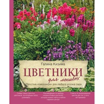 Цветник на даче для ленивых | Фиолетовый сад, Цветник, Идеи для садового  дизайна